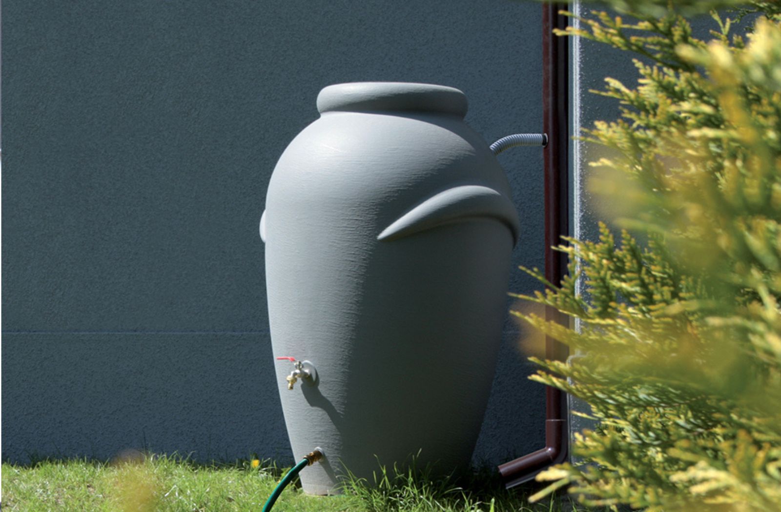 Nachhaltige Gartenpflege im Sommer: Bewsserung & Dngung