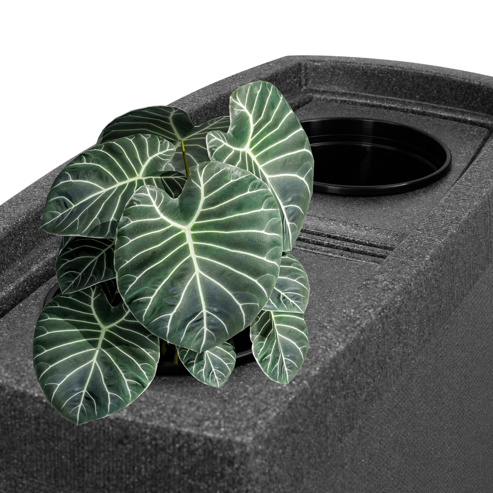 Topfpflanze mit dunkelgrünen Blättern in einer YourCasa Regentonne 275 Liter [SquareLux Rain] – Eckig und Schmal Pflanzgefäß von yourcasa-de, mit sichtbarem Abzugsloch.