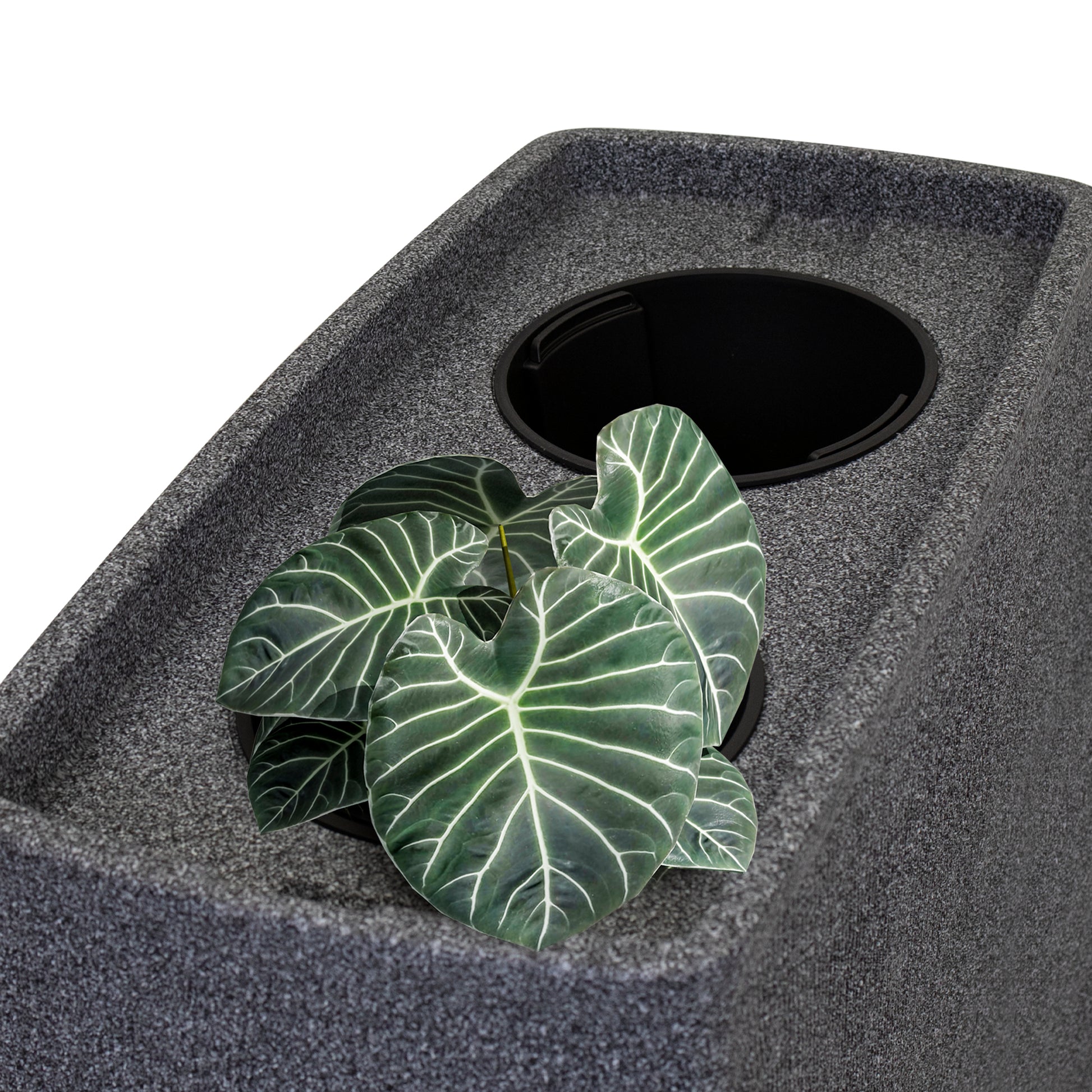 Eine moderne Küchenspüle mit integrierter YourCasa Regentonne 270 Liter [QuadraFlow Rain], eckigem und schmalem Einlaufloch und einer dekorativen Pflanze mit frostsicher grünen Blättern.